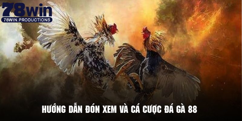 Thao tác đón xem những trận đá gà cực kỳ hấp dẫn tại 789win